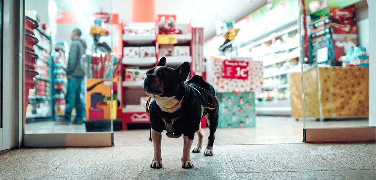 are-shops-open-in-barcelona-on-a-sunday-americans-in-barcelona