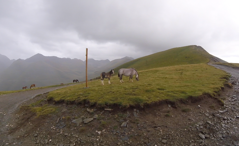 holidays in the pyrenees