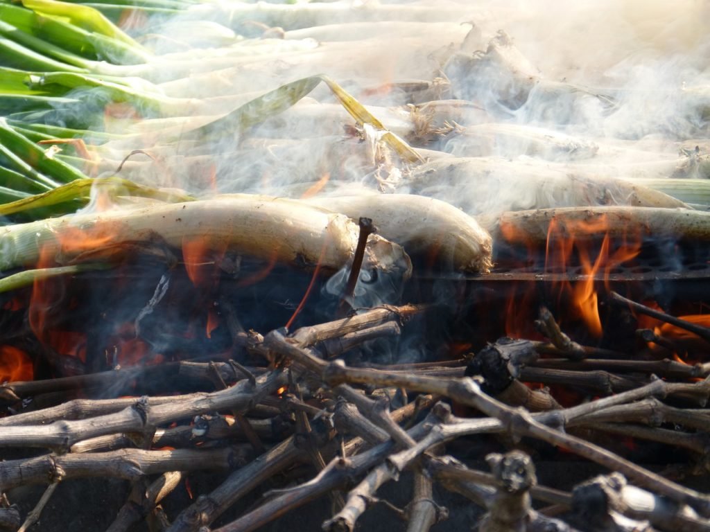 calçots