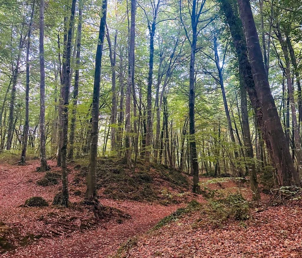 la fageda jorda